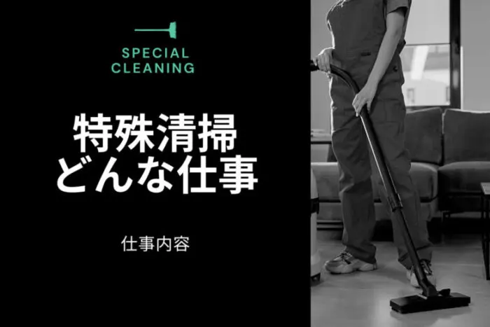 Special Cleaning